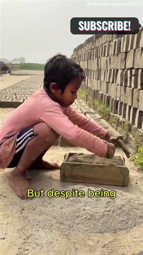 Hardworking Boy Making Bricks