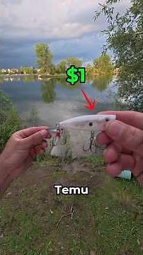 Cheap vs expensive fishing lures