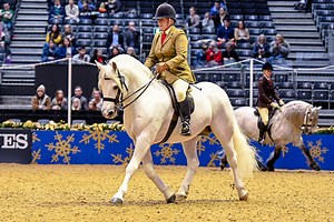 Connemara stallion lands 2018 Olympia M&M supreme title on third apperance - Horse & Hound