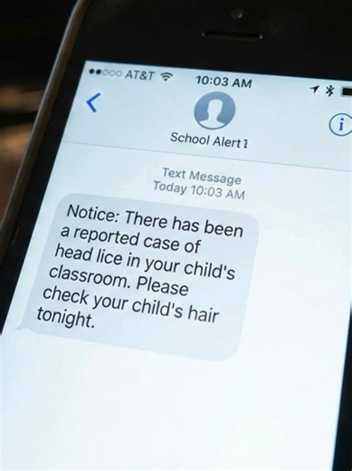 Did you know? 👀 Pure peppermint oil can cost up to $12 at a pharmacy… Our FULL scrunchie set is $19.95 💚 3 hidden-zipper scrunchies inserts oil #smartshopping #momtok #liceclinic #vancouver #canadasmallbusiness