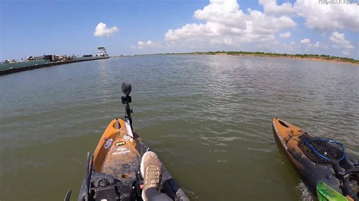 Pod of dolphins play with kayakers