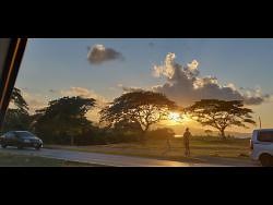 This week’s Shutterbugs