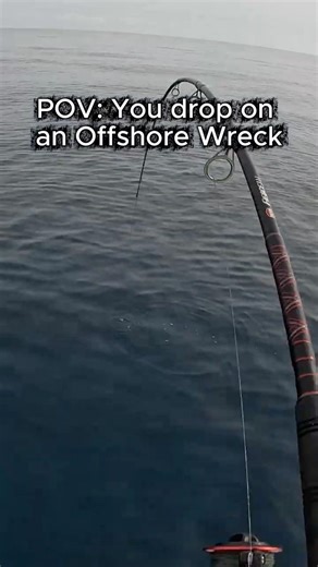 Amberjack Went CRAZY on This Offshore Wreck🎣