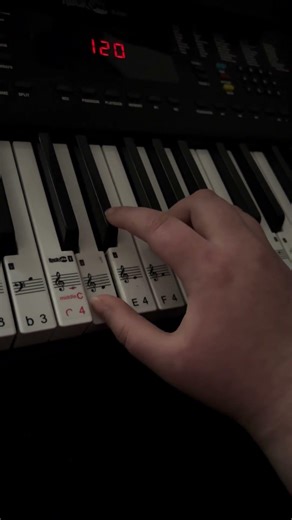 Learning to play the keyboard part 2/ day30- past lives