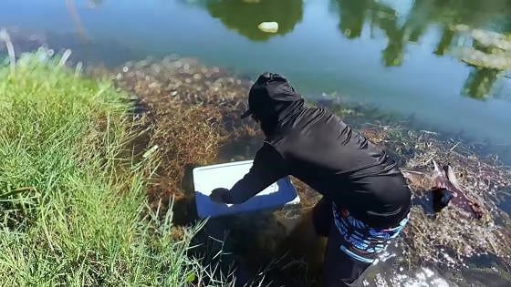 DIY Plastic Bin Fish Trap – Monster Mike’s Wild Catch