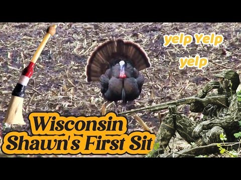 Calling in a Turkey with a Wing Bone Call