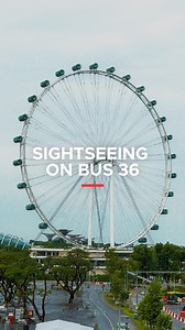When a regular bus ride becomes a sightseeing adventure, it instantly becomes our favourite way to get around Singapore 🚌💨 Grab a Singapore Tourist Pass Card from train station ticket offices and start exploring all the city’s scenic gems with unlimited rides 👀🔭 What bus should we hop on next? Look out for these sights on bus 36: 📍Singapore Flyer 📍Fountain of Wealth, Suntec City 📍Esplanade - Theatres on the Bay 📍ION Orchard 📍 Raffles Hotel Singapore #VisitSingapore #Singapore #Travel #V