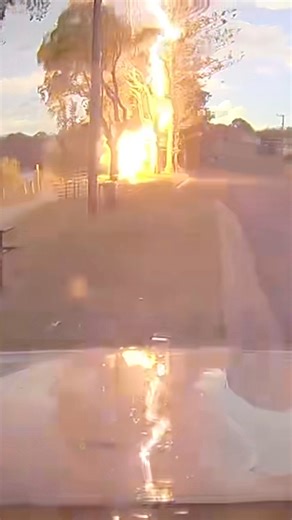 ⚠️‼️A local business persons dash cam caught this very close lightning bolt hitting a tree on Friday afternoon 16th Jan in Mylestom NSW. Courtesy of the Bellingen Shire News, thanks Brad. | SE Qld Weather Photography -Chris McFerran