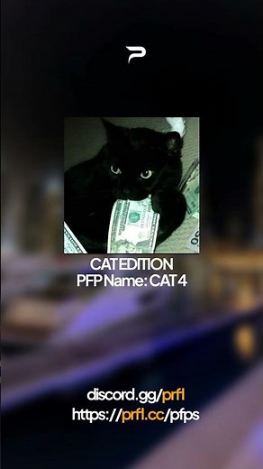 PRFL.CC — Your go-to site for Discord banners and profile pictures. #pfp #pfps #tuff #cat #catphoto