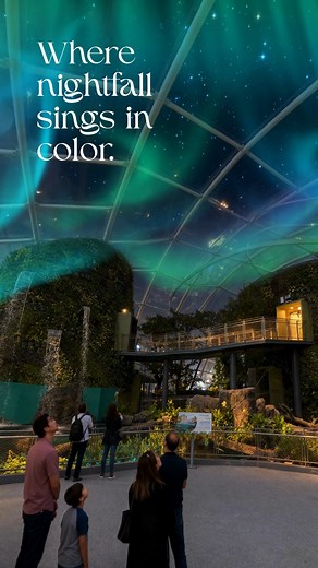 As the sun sets, the magic begins.✨ Stay into the night at Philippine Biodome and experience Borealis Nights — a breathtaking light show that transforms the sky into waves of color and wonder. Let the northern lights surround you in a dreamlike escape unlike anything you've seen before. Stay late. Look up. Witness the lights. 🌌 Snag your tickets at www.manilaoceanpark.com/tickets/biodomeonlinedeals and don’t miss the glow after dark! #BorealisNights #StayForTheLights #ImmersiveExperience #Phili