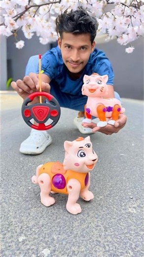 New Remote Control Rc Cat 2 Ta Unboxing 🥹