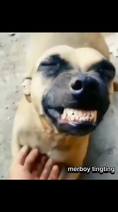 Pano nangyari Yan!😳 #videoviralシviralシ2025 #fbreelsfypシ゚viralfbreelsfypシ゚viral #goodvibes | Merboy Tingting