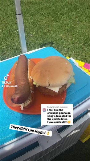 Burger & Hot Dog Review: Surprisingly Hot!