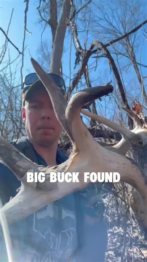 Exciting Big Buck Discovery During Deer and Shed Hunting!