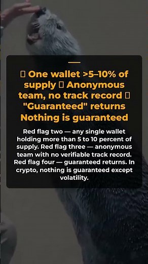 How to Spot a Crypto Rug Pull — Before You Lose Everything