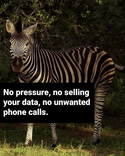 Car insurance comparisons in black and white: we’ve pulled more than 172 million quotes so drivers like you could find their best insurance options. | The Zebra | Facebook