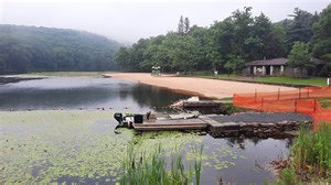 Check out the bog, carnivorous plants at Black Moshannon State Park