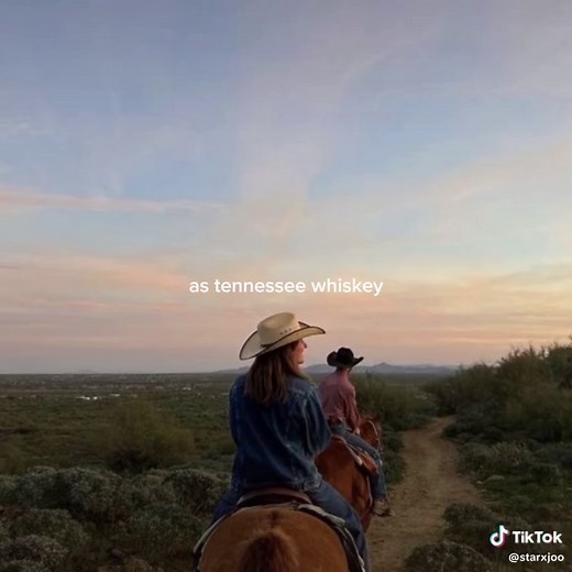 Chris Stapleton Tennessee Whiskey Lyrics