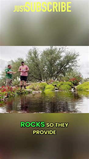 Recreation Pond Secrets: Thermal Stability #shorts