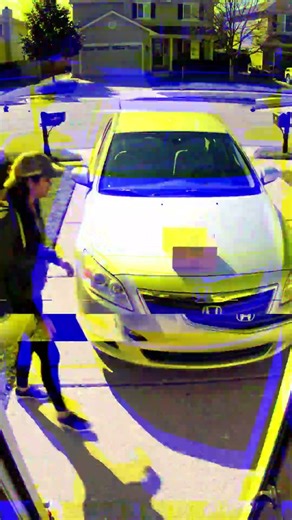 Compilation of Porch Pirate Bait Box Exploding Doorbell Videos