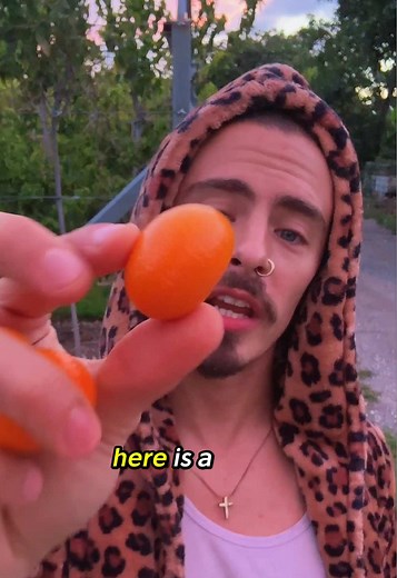 Kumquat: How to Eat It and a Quick Thought on Grace