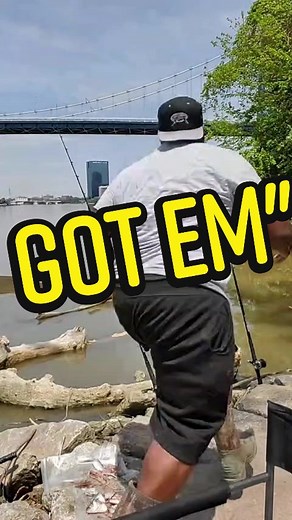 fish on! #aloftv #fishing