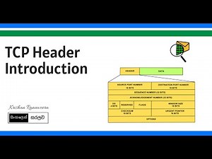 TCP Header Breakdown