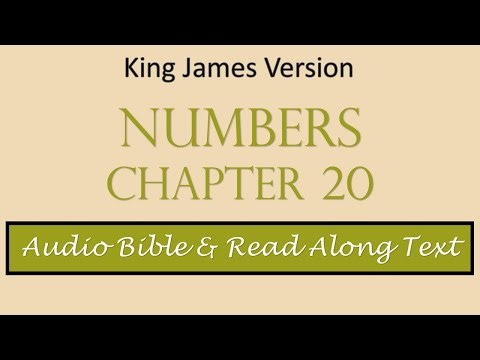Numbers 20 | KJV DRAMATIZED AUDIO BIBLE WITH TEXT