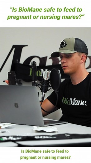 2.8K views | BioMane is safe for all pregnant and nursing mares! #horses #equine #pregnant #mares #nursing #biomane #haircare #horsecare ##petsofinstagram | BioMane Products | Facebook