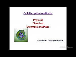Cell disruption methods