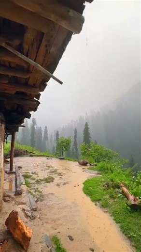 azan muslim call to prayer #shortvideo #new