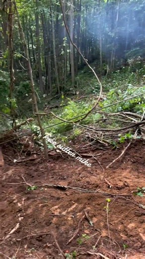 Logger work with timberjack240 🌲🚜🪚🪵 . . .​ #loaderman559 #woodwork #loggers #woodworking #workhardplayhard #forestry #blackandwhite #hardwork #trees #tbt #hilights #tbt #logging #usa #oldschool #history #logginglife #logger #stihl8661 #blackandwhitephotography #oldschoollogging #pioneer #gildedage #AmericanHistory #historylovers #logging #timber #historyinpictures #vintagephotography | Sander Young