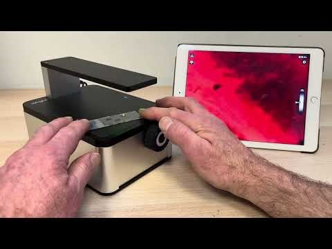 Live Cell Imaging with dual fluorescence - OVERVIEW