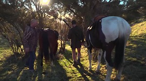 44K views · 864 reactions | WATCH this new brand ad from Hunting & Fishing New Zealand. It’s the first in a series that shows what it means to be a New Zealander out there doing it. "Giving it 'a hundy' - the man can't sit still" | Hunting & Fishing New Zealand | Facebook