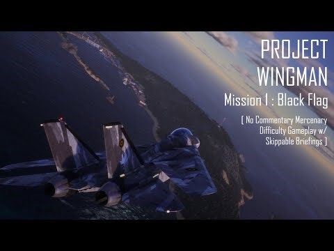 Project Wingman | Mission 1: Black Flag [No Commentary Mercenary Difficulty w/ Skippable Briefings]
