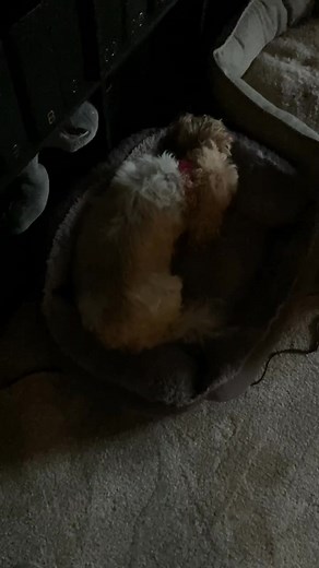 Mickey Jones on Reels