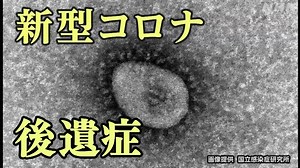 新型コロナ19万人余調査 成人1～2割「後遺症」か 厚労省研究班｜NHK