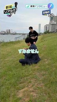 新潟市の宝物「やすらぎ堤」🌿🫧