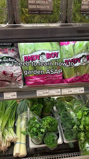 Chloe Wilde (@thechloewilde)’s videos with Lazy Sunday - Official Sound Studio