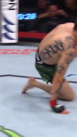 Shut off the bodyFormer flyweight champion #ufc #mma #wwe #nvidia