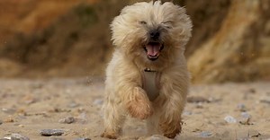 Clément Proust님의 동영상, 출처: Pexels