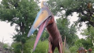 🦖 Get ready to ROAR with excitement! 🦖 Join us at Destination: Dinosaurs Presented by Reliant Energy ® on June 1 and 2 as we celebrate National Dinosaur Day! Enjoy $1 off Destination: Dinosaurs tickets all weekend long for a dino-mite time filled with special activities, games, food, and more. Don't miss out on this prehistoric party! Get your tickets NOW: bit.ly/DestinationDinosaurs | Dallas Zoo