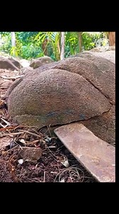 Treasure hunt slowly remove coated ancient file rock markings #JmDCompass #compasshunterph #fbreels #fypシ゚ #everyonefollowers #reels #virals #treasure #explore | Jm D Compass