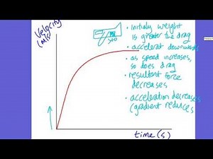 IGCSE Physics: Terminal Velocity