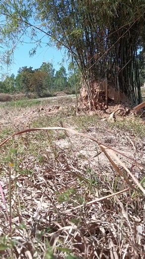 KUBOTA M6240: Features and Performance Overview