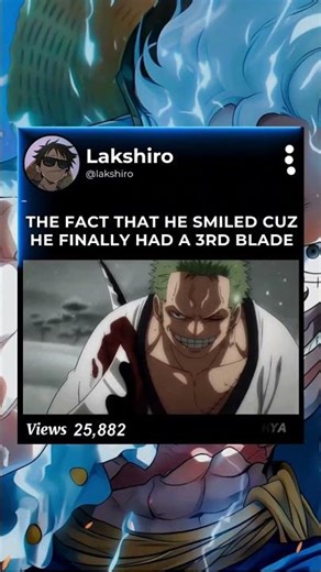 zoro in wano 💀 #onepiece #zoro #wano