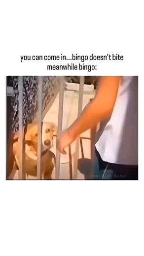 Unexpected Comedy Ending That Will Make You Laugh