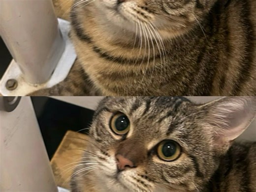 【早日开6子】视频已打包，欢迎围观！