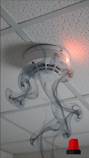 Emergency Evacuation: Safety Procedures During a Fire alarm