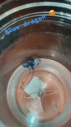 JustBecause808 on TikTok